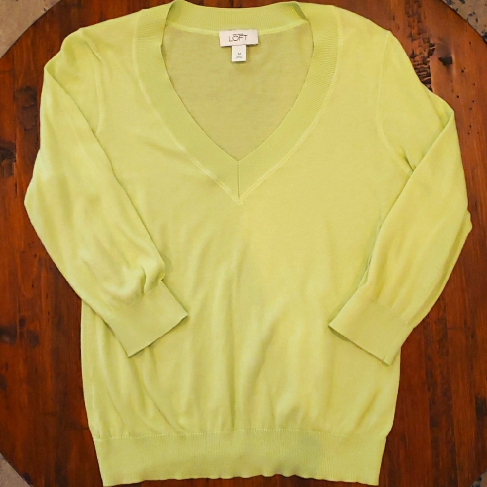 Ann Taylor Loft sweater